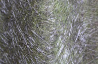 Saltershill fibreglass roof work